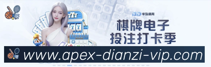 未来规划